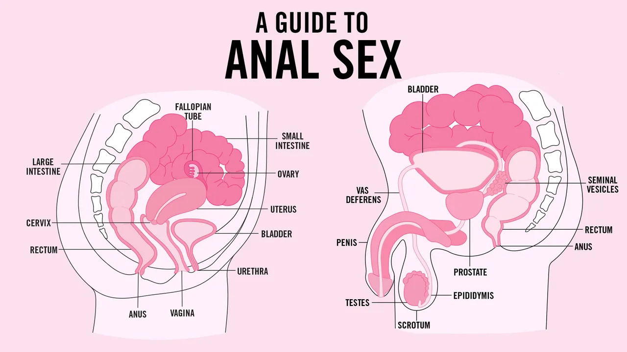 The Ins and Outs of Anal: Anal Sex Tips